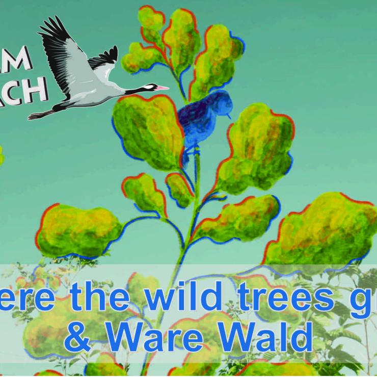 Filmgespräch: Where the wild trees grow & Ware Wald
